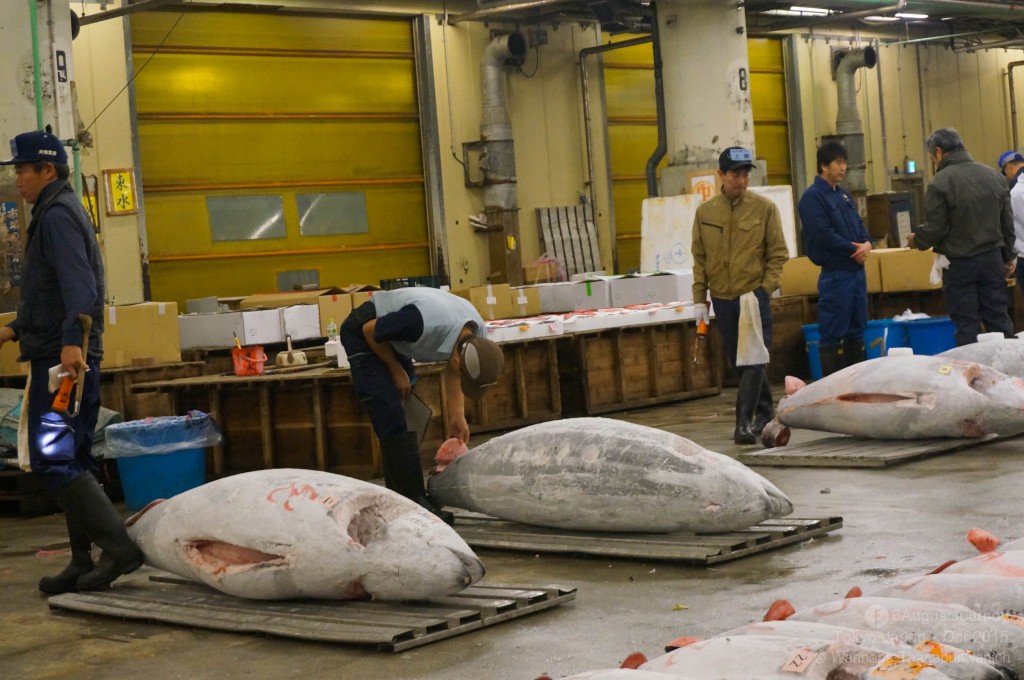 TSUKIJI FISH MARKET