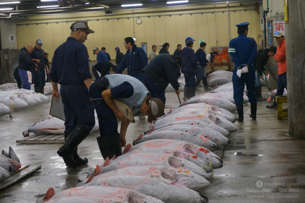 TSUKIJI FISH MARKET