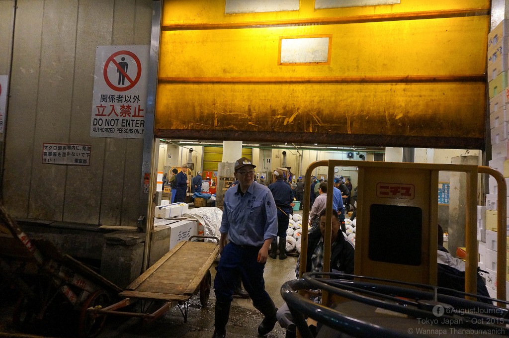 TSUKIJI FISH MARKET