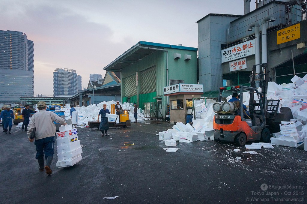 TSUKIJI FISH MARKET