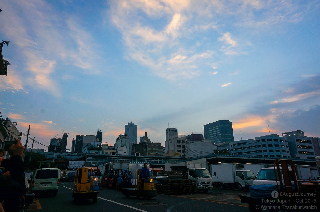 TSUKIJI FISH MARKET