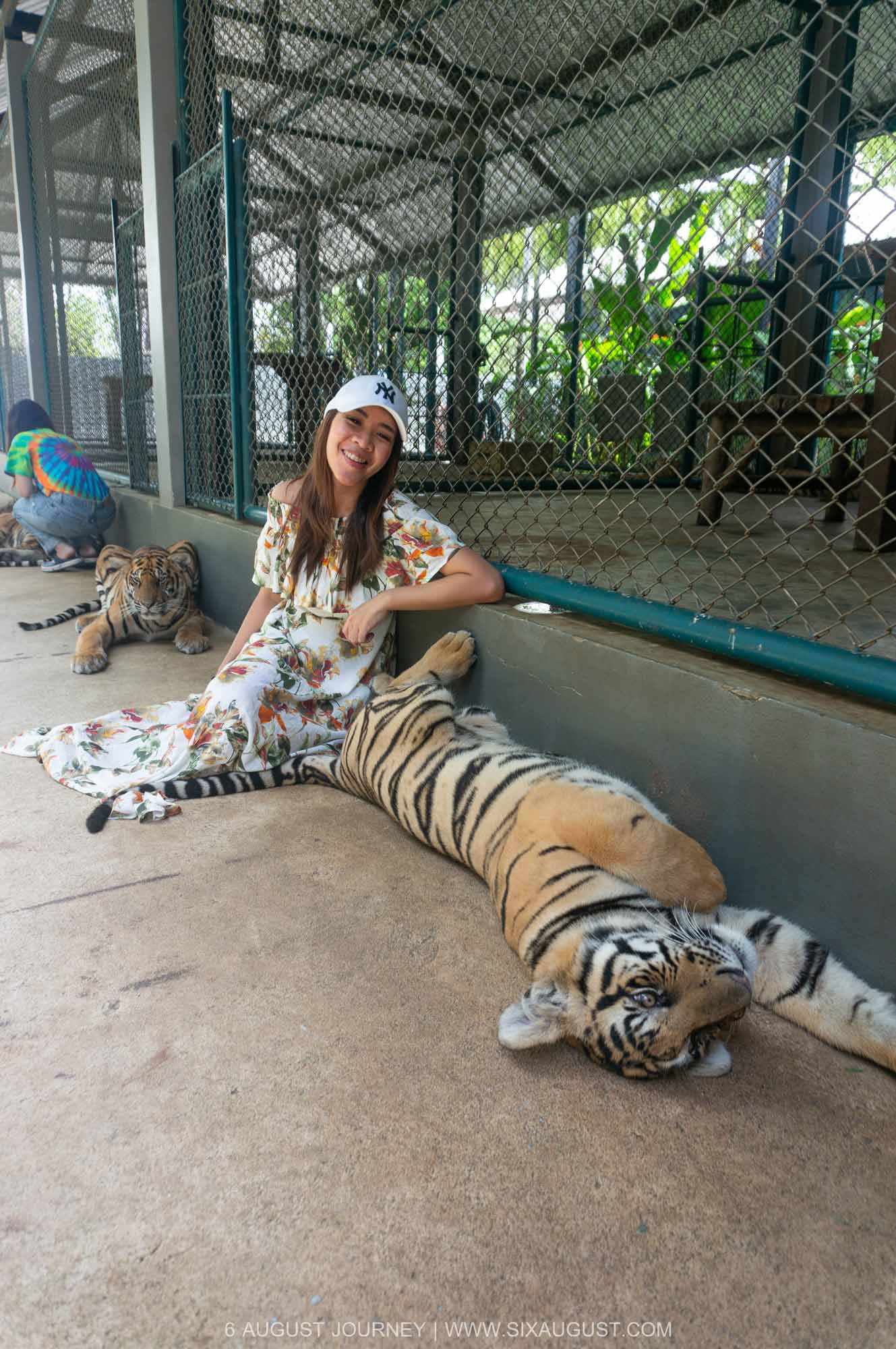 tiger park pattaya ราคา นอนให้เกาพุง