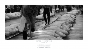 Tsukiji Market