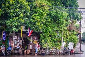 ปั่นจักรยานเชียงราย