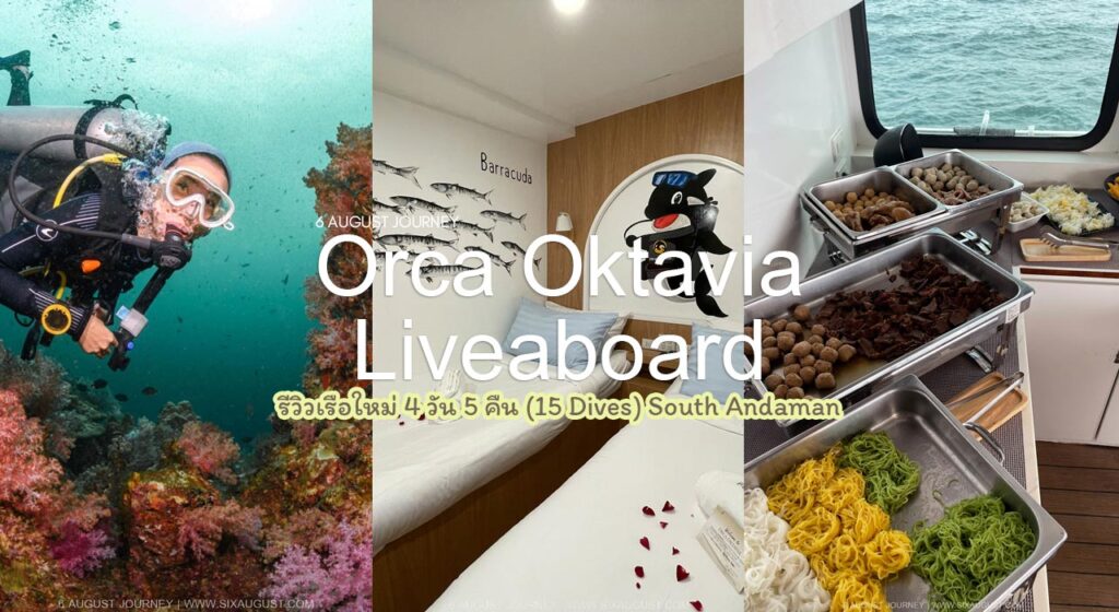 Orca Oktavia  Liveaboard รีวิว
